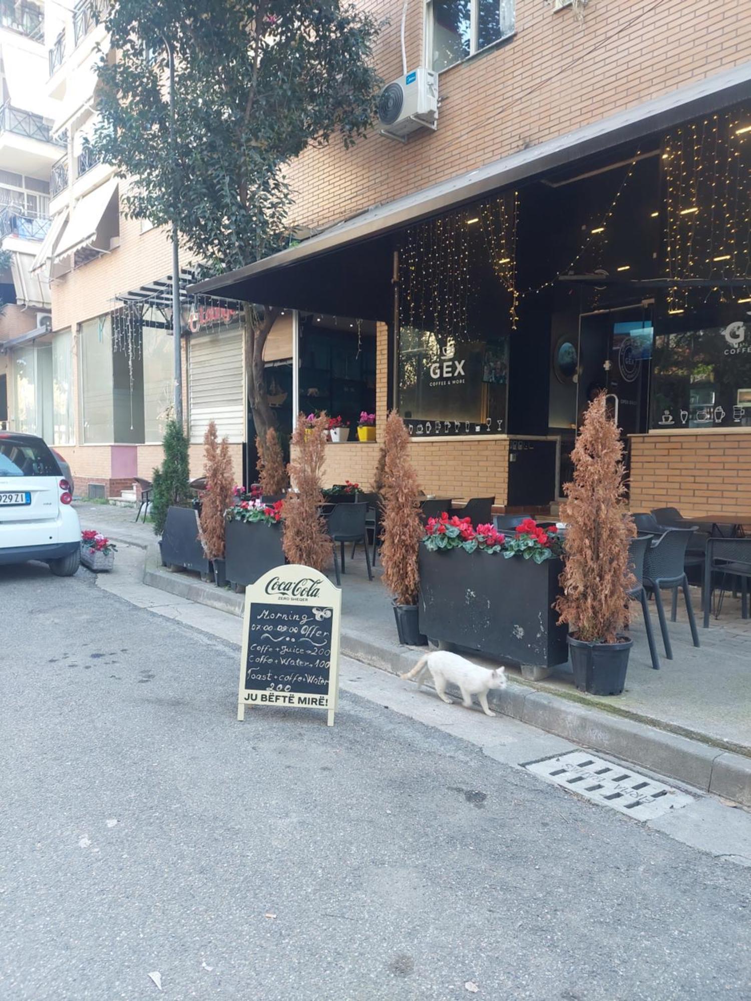Gex Apartments Tirana Zewnętrze zdjęcie